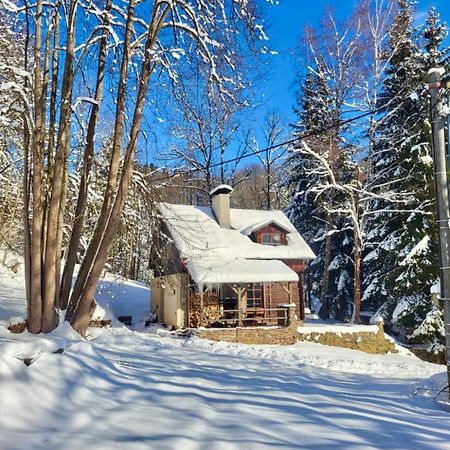 Villa Srub V Bolkovskem Udoli Rudník Exterior foto