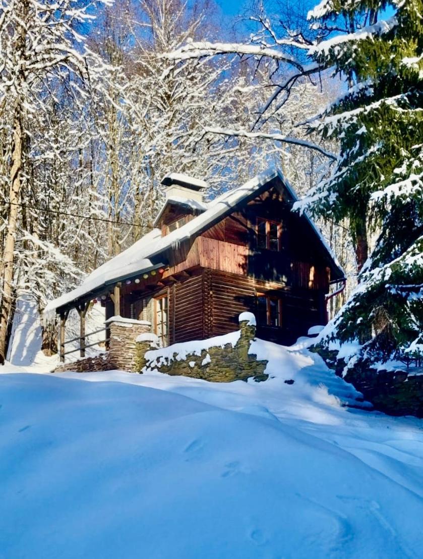 Villa Srub V Bolkovskem Udoli Rudník Exterior foto